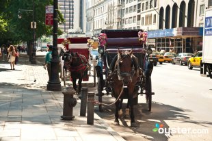 Horse carriages at the entrance
