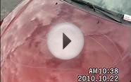 Cars Vandalized at the Clarion Hotel in Scranton, PA