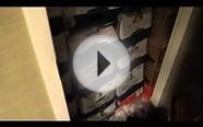 Hotel tour of Springfield Suites By Marriott (for