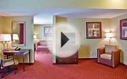 Lovely Hotels In Orlando - Holiday Inn Hotel & Suites